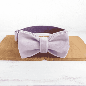 MUTTCO drawstring traction belt set (Option: Light purple A Set-S)